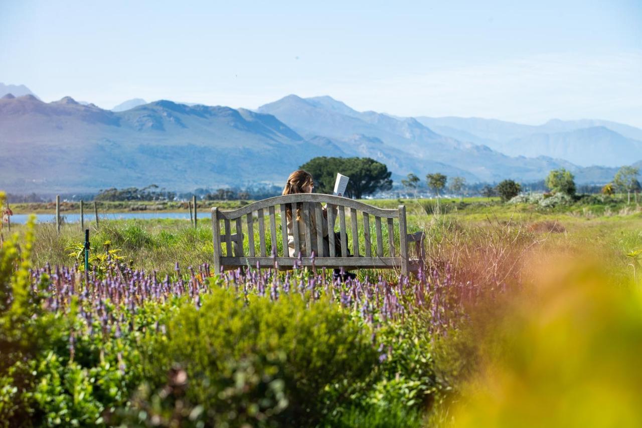 Sante Wellness Retreat & Spa Paarl Dış mekan fotoğraf