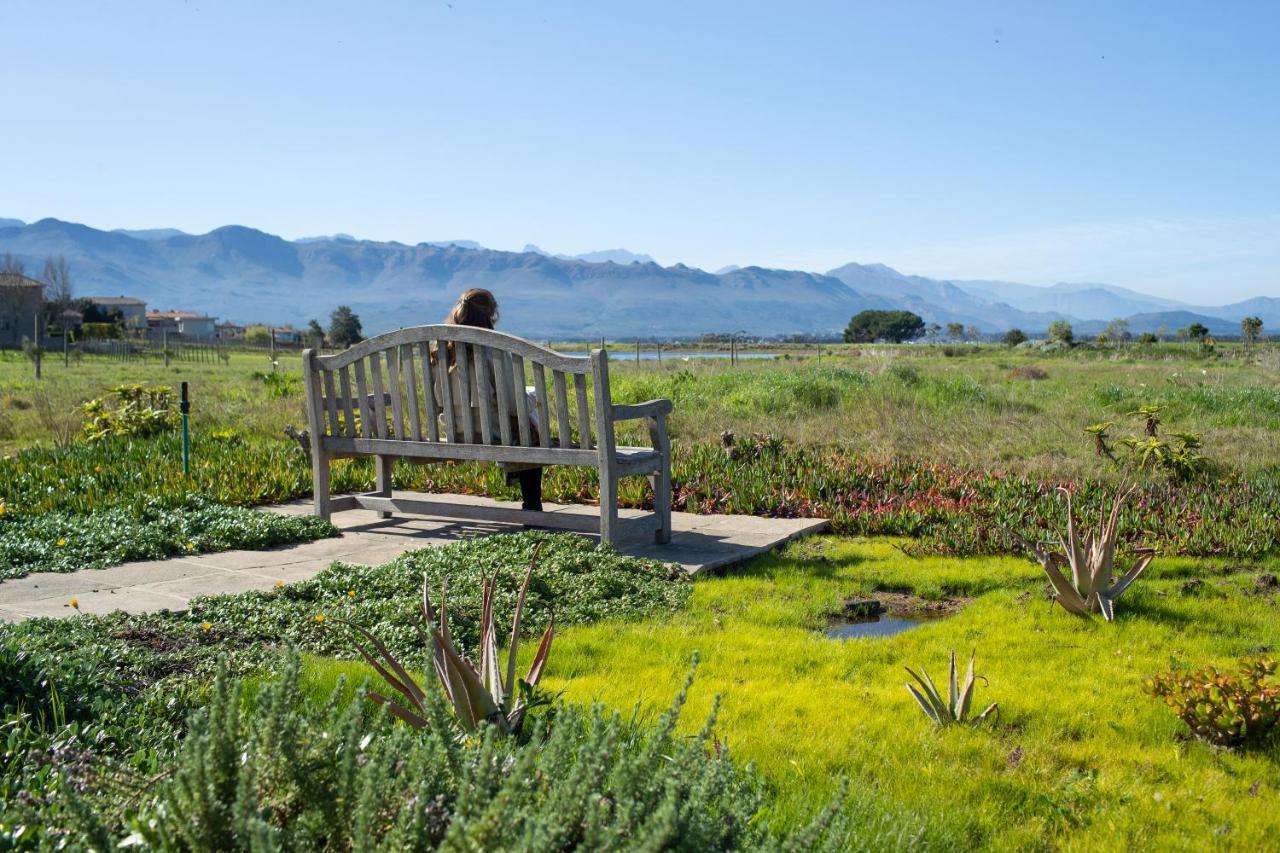 Sante Wellness Retreat & Spa Paarl Dış mekan fotoğraf